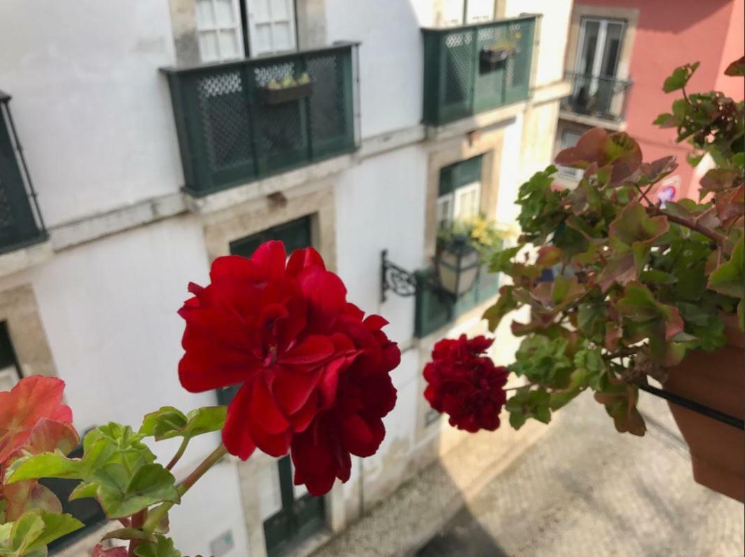 In The Heart Of Lisbon Apartment Exterior photo